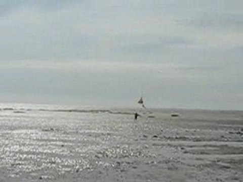 La Bernerie en Retz : cerf volant