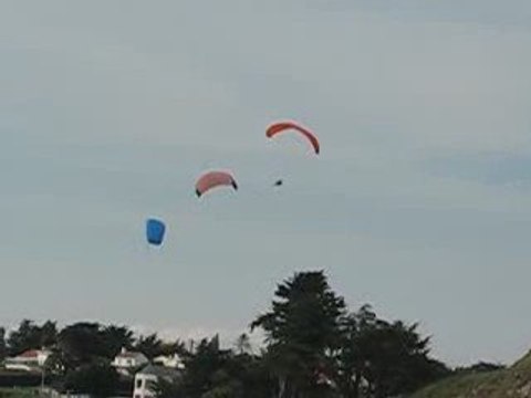 La Bernerie en Retz : zoom cerf volant