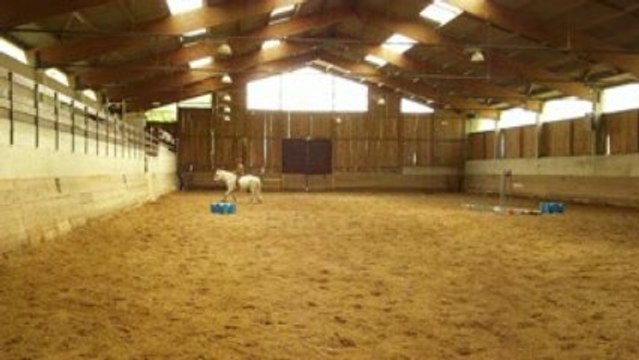 Cercle galop D puis G