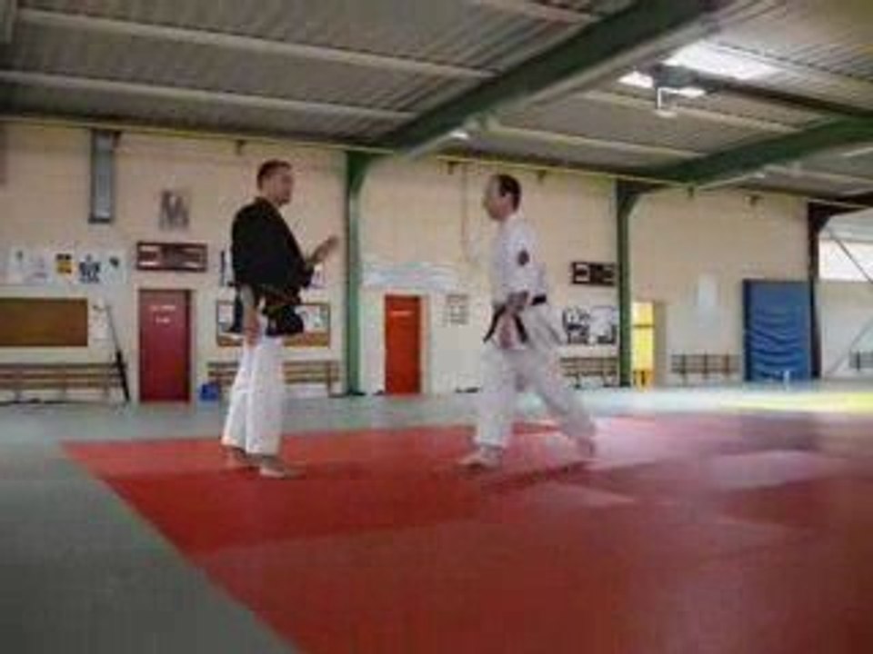 Nihon Tai Jitsu - Tours 2009 - Sutemi waza - Philippe Galais