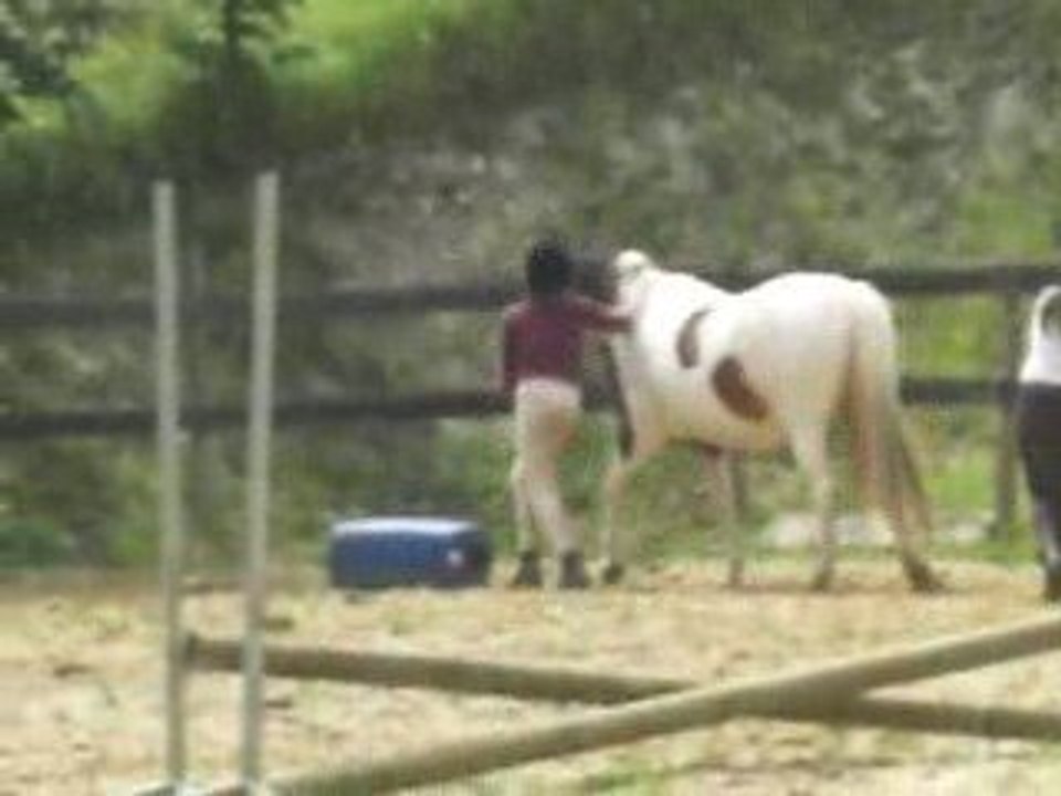 poneys 100