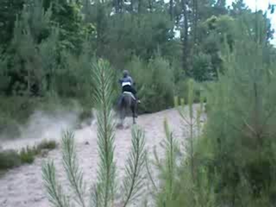 19 juin 2009 : Last Pride