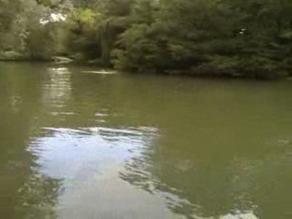 Graupner Mega Dragstar III - petite baignade :)