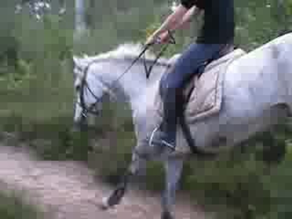 19 juin 2009 : Merry & Estelle