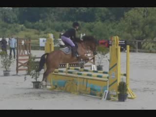 Entrainement pour Lamotte au Haras du pin