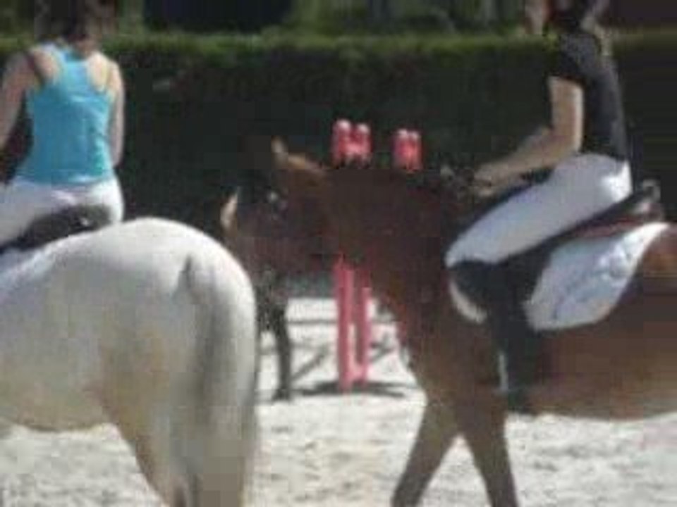 Porte ouverte cheval 081