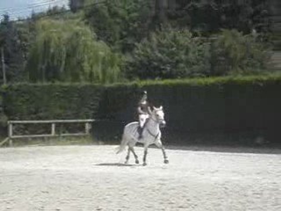 Porte ouverte cheval 084