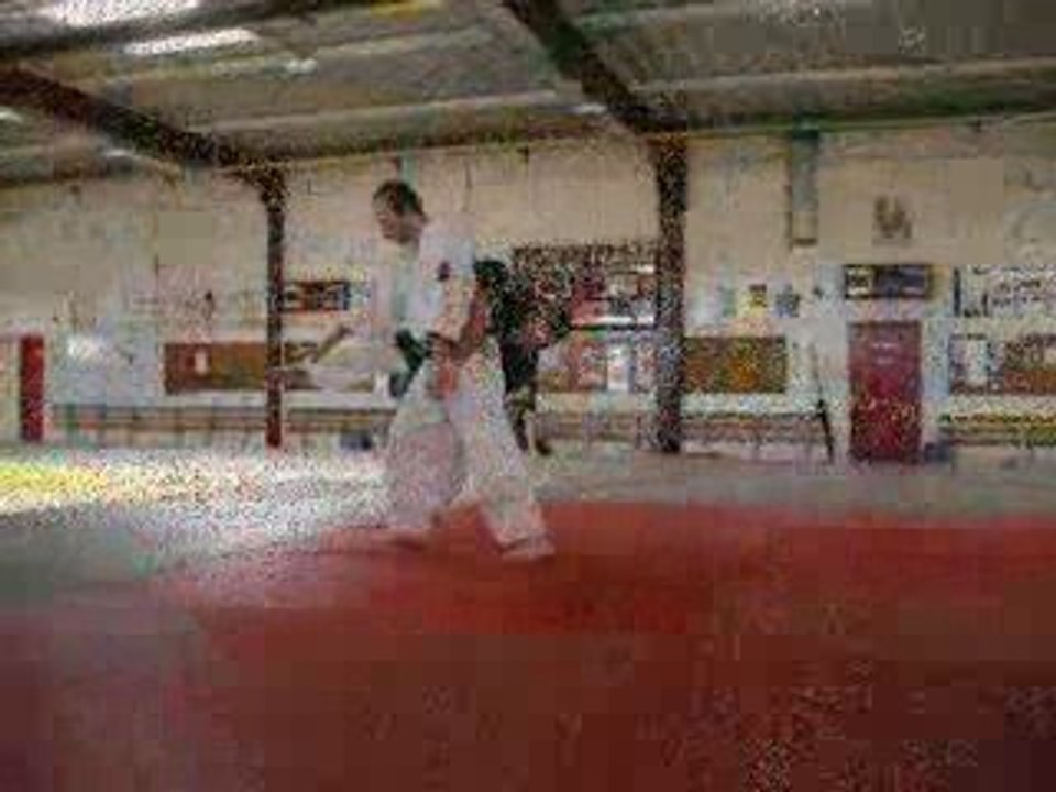 Nihon Tai Jitsu - Tours 2009 - Sutemi waza suite