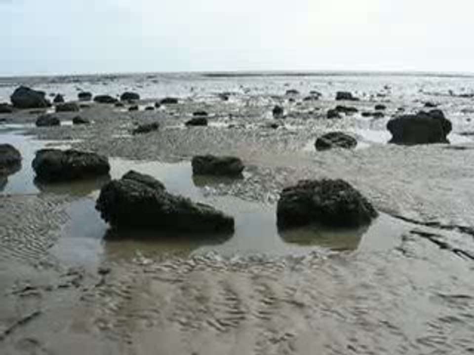 La Bernerie en Retz : rochers