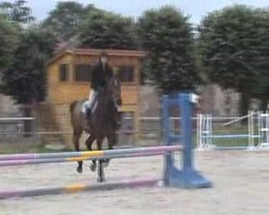 Galop 5 CROSS CSO