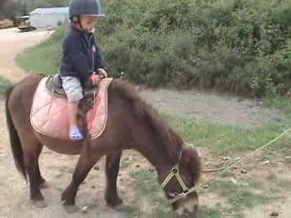 Jules fait du cheval, C'est Mallaury