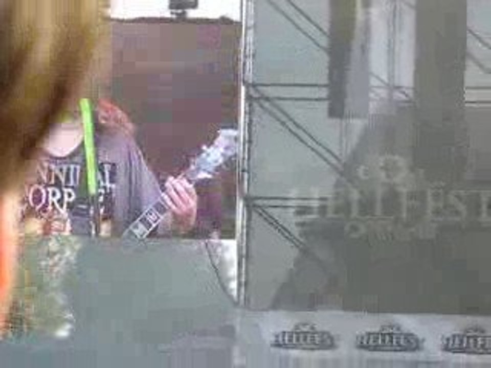 HELLFEST 2009: SOULFLY