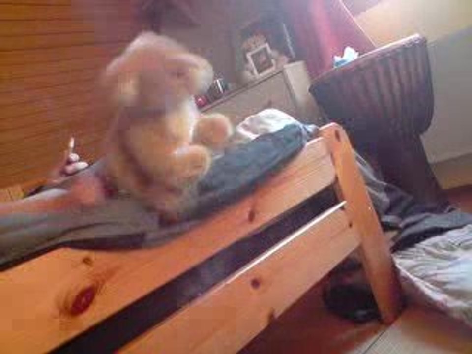 Chat en manque