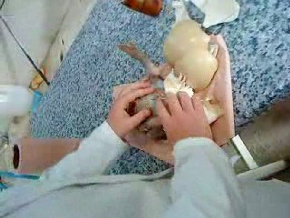 MOV00073