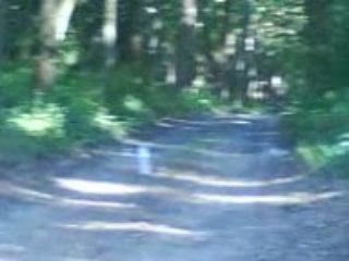 Le petar a quentin^^