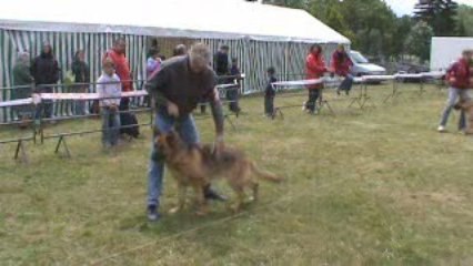 expo canine saint sauveur de peyre