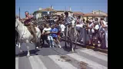 Grau du Roi Attrapaïre Abrivado Saint Pierre 2009