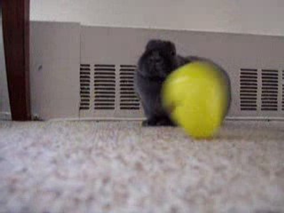 EasterEggsRubit