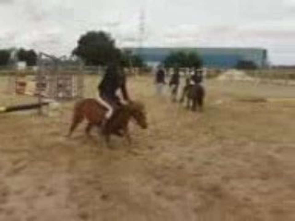 Ac gypsie oxer