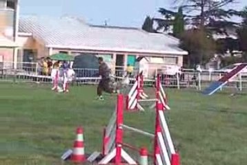 Woofie Open IPAC 210609