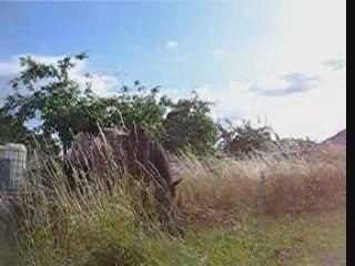 Travail with Douune 21 juin 2009