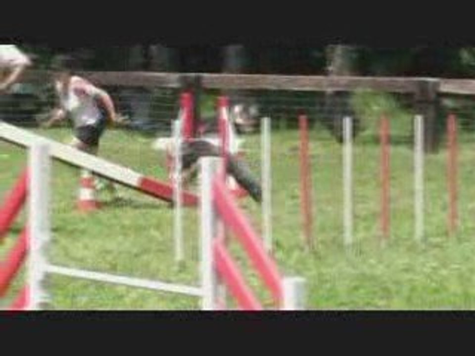 Buck agility eyragues