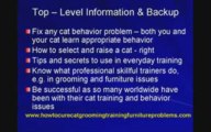 Cure and Stop Cat Grooming & Behavior Problems Right