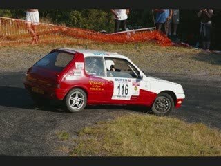 Rallye pays viganais 2009