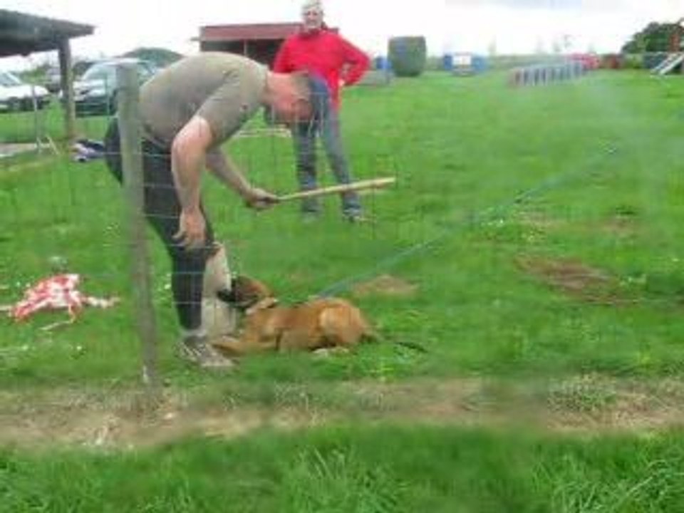 eyrtonn face mordant 3 mois et demi