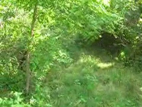Buy Land Charlottesville, Buy Land Fluvanna, Land For Sale