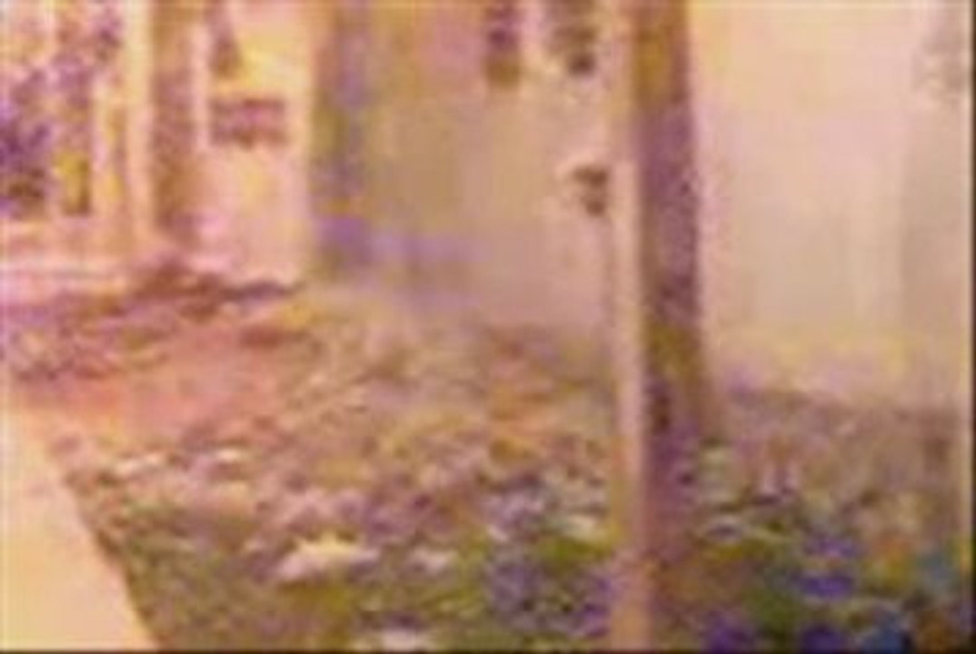 extraterrestre de merida au mexique