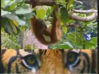 Generique antenne France 3 (2006)