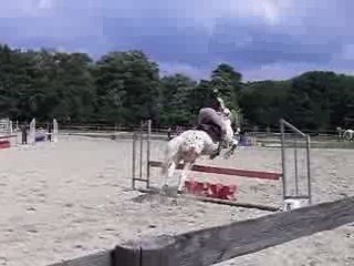 Parcours 80cm au haras avec Malcom