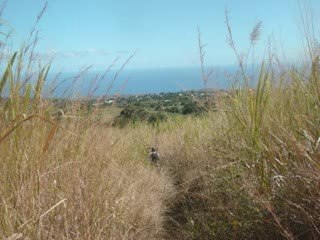 Dimanche 21 juin 2009 (VTT)