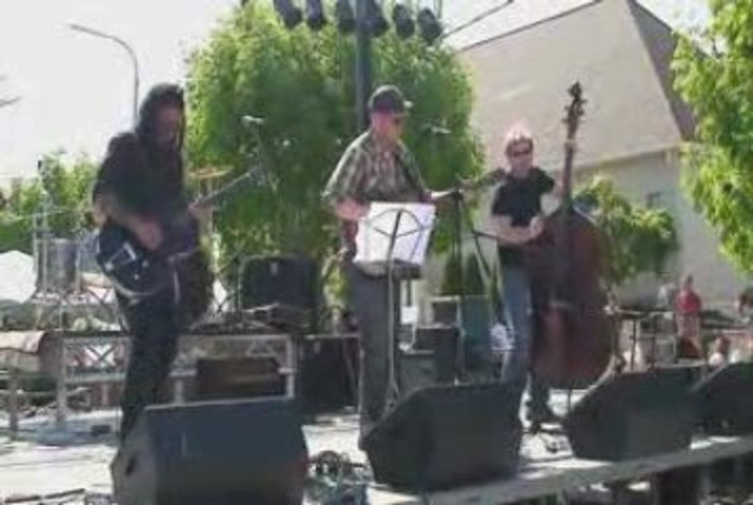 Delaney Davidson at Steel Bridge Songfest 2009