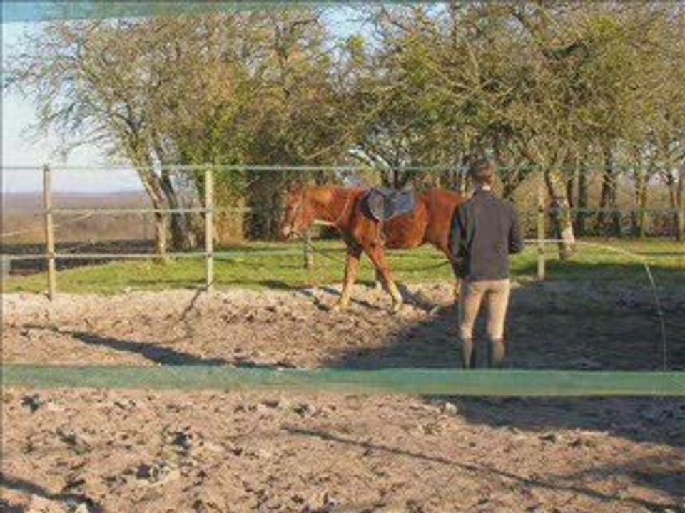 Saphir