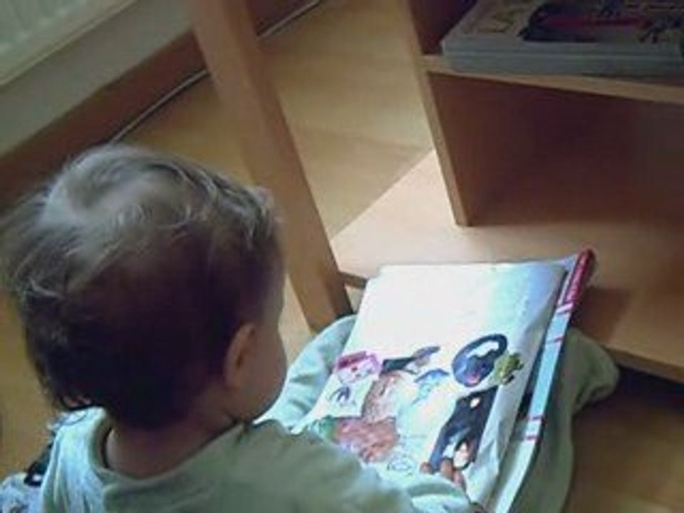 adelia video