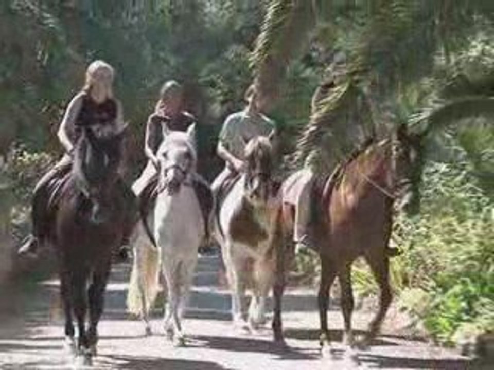 Reiten auf Mallorca
