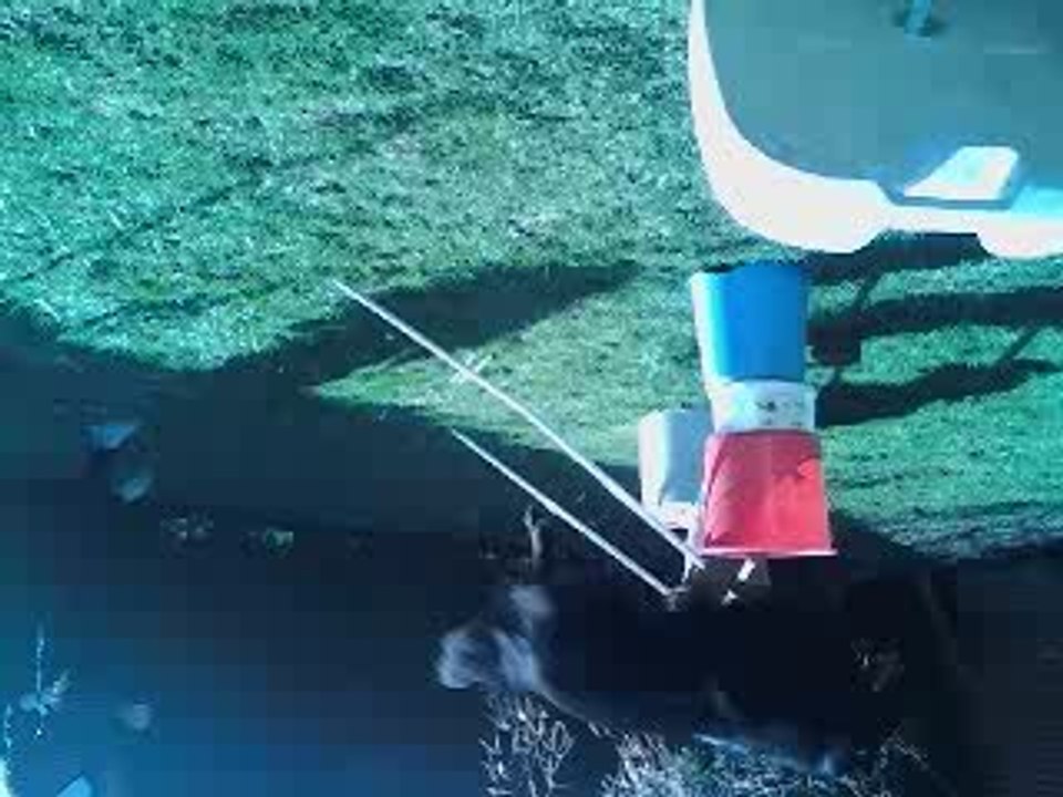 090318144638