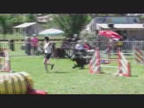 Umberto agility Eyragues