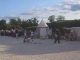 Combat Medieval