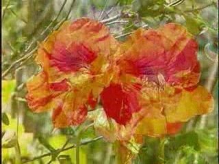 Reportage lauréate Fondation Varenne Elodie Palyswitt