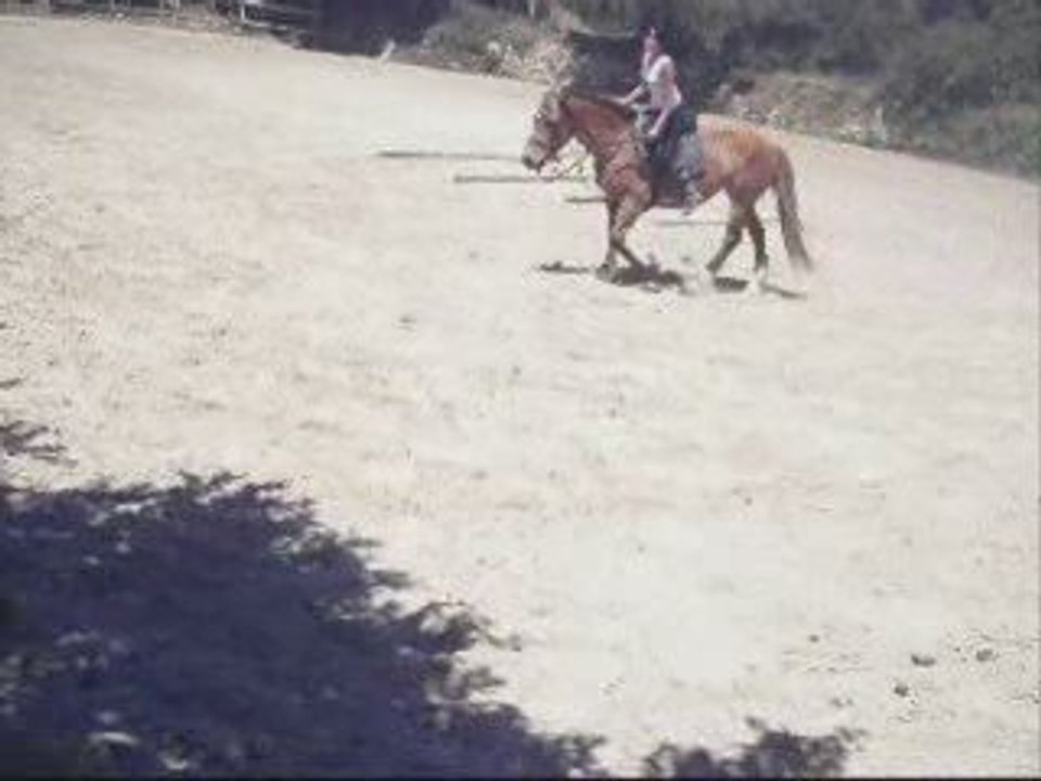 22.06.06  :  Barre au Sol  : Fin de seance