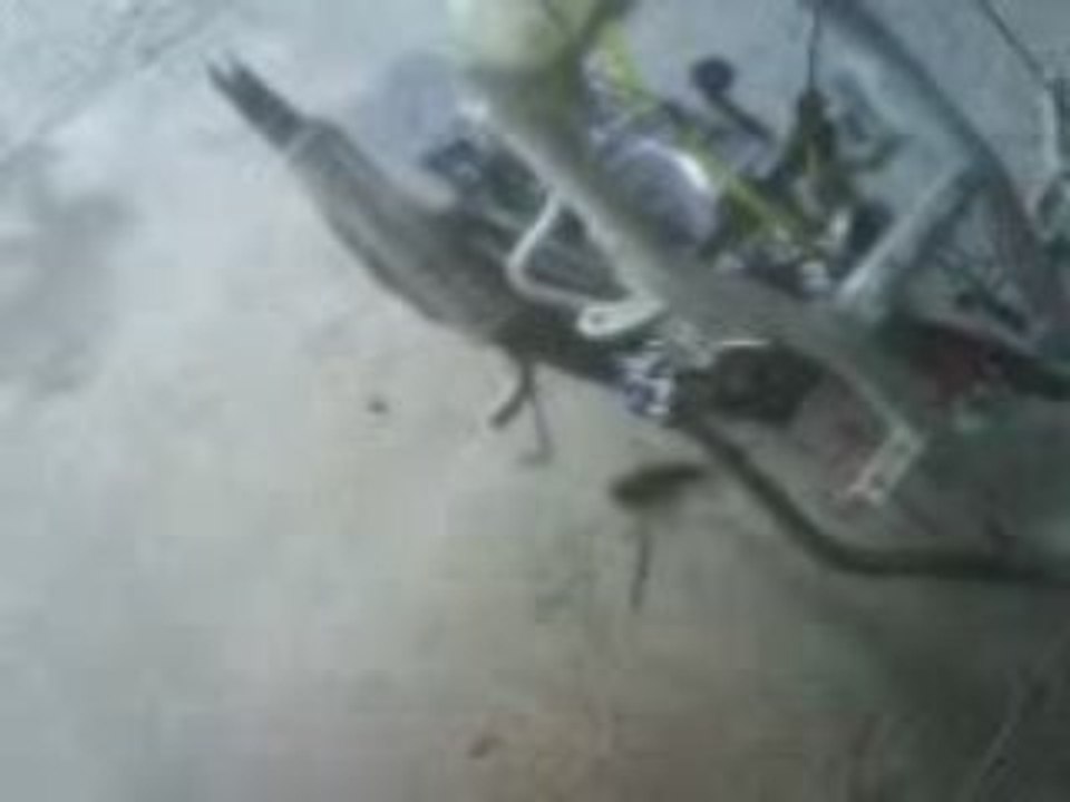 First start bb86 tuned by I.R.T