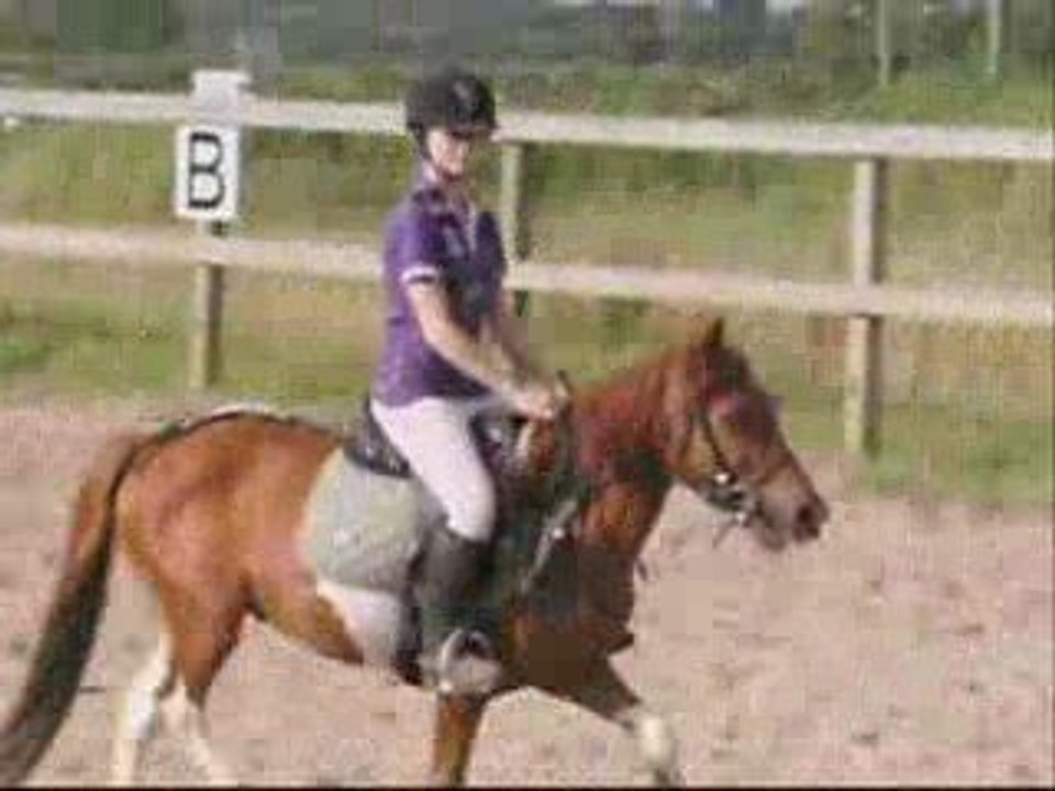 Mon Groliver ♥