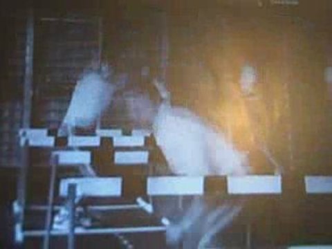 Bodyweight Training for Muscle Building, Strength & Speed