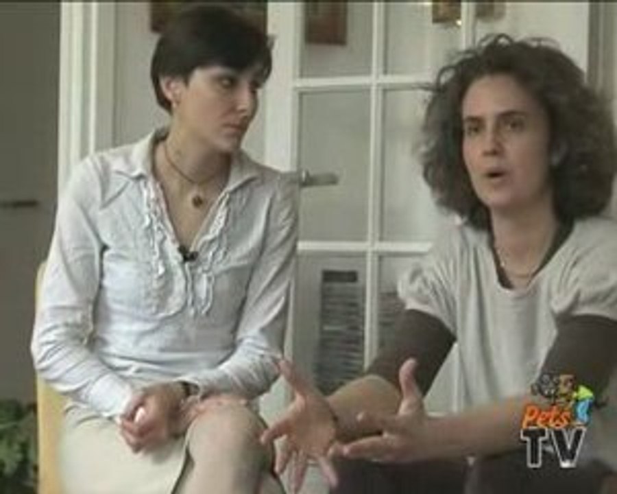 la cohabitation entre chiens et chats