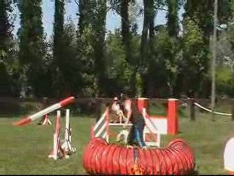 Eyragues Baxter Jumping