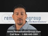 South Florida mold remediation Florida, [REMEDIATION GROUP]