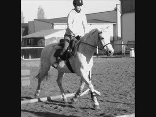 Ne jamais Oublier ...